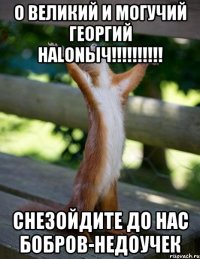 о великий и могучий георгий halonыч!!! снезойдите до нас бобров-недоучек