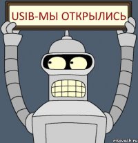 USIB-мы открылись