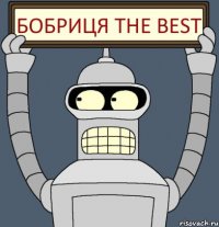 Бобриця the Best