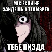 mic если не зайдешь в teamspek тебе пизда