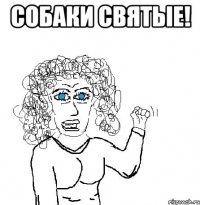 собаки святые! 