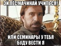 эй,пёс!начинай учиться! или семинары у тебя буду вести я