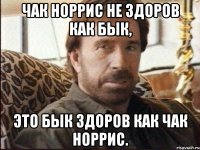 чак норрис не здоров как бык, это бык здоров как чак норрис.