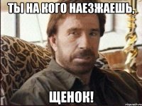 ты на кого наезжаешь, щенок!