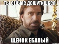 ты сейчас дошутишься щенок ебаный