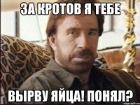 за кротов я тебе вырву яйца! понял?