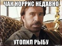 чак норрис недавно утопил рыбу