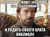 чак норрис может заставить себя забереминить и родить своего брата виблиблу
