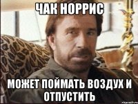 чак норрис может поймать воздух и отпустить