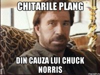 chitarile plang din cauza lui chuck norris
