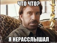что что? я нерасслышал