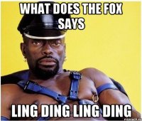 what does the fox says ling ding ling ding