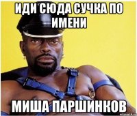 иди сюда сучка по имени миша паршинков