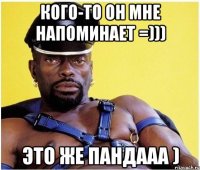 кого-то он мне напоминает =))) это же пандааа )