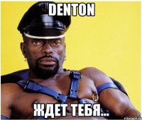 denton ждет тебя...