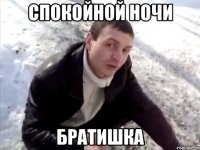 спокойной ночи братишка