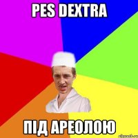 pes dextra під ареолою