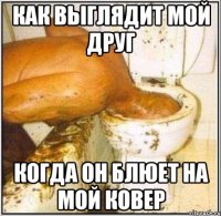 как выглядит мой друг когда он блюет на мой ковер