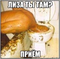 лиза ты там? приём