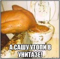  а сашу утопи в унитазе!