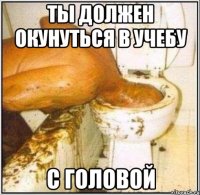 ты должен окунуться в учебу с головой