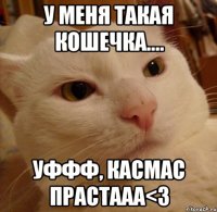 у меня такая кошечка.... уффф, касмас прастааа<3
