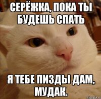 серёжка, пока ты будешь спать я тебе пизды дам, мудак.