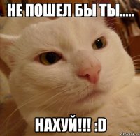 не пошел бы ты..... нахуй!!! :d