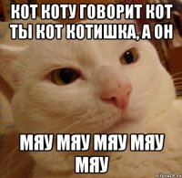 кот коту говорит кот ты кот котишка, а он мяу мяу мяу мяу мяу