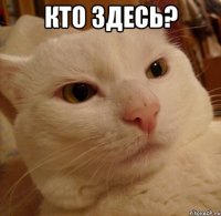 кто здесь? 