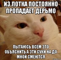 из лотка постоянно пропадает дерьмо пытаюсь всем это объяснить а эти суки на до мной смеются