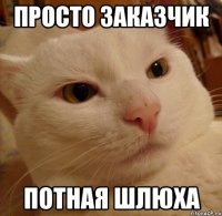 просто заказчик потная шлюха