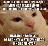 из лотка постоянно пропадает дерьмо походу в доме полтергейст-говнокрад завелся пытаюсь всем это объяснить а эти суки надо мной смеются