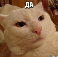 да 