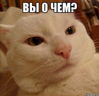 вы о чем? 
