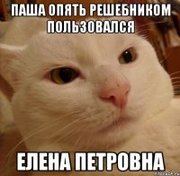 паша опять решебником пользовался елена петровна