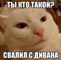 ты кто такой? свалил с дивана