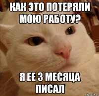 как это потеряли мою работу? я ее 3 месяца писал