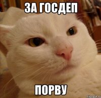 за госдеп порву