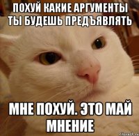 похуй какие аргументы ты будешь предъявлять мне похуй. это май мнение