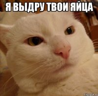 я выдру твои яйца 