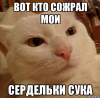 вот кто сожрал мои сердельки сука