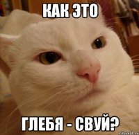 как это глебя - свуй?