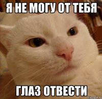 я не могу от тебя глаз отвести