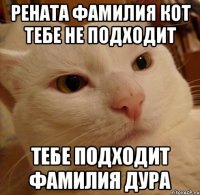 рената фамилия кот тебе не подходит тебе подходит фамилия дура