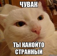 чувак ты какойто странный