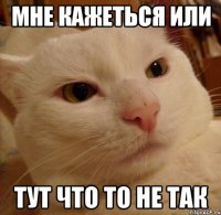 мне кажеться или тут что то не так