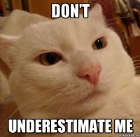 don’t underestimate me