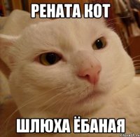 рената кот шлюха ёбаная