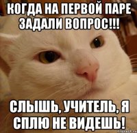 когда на первой паре задали вопрос!!! слышь, учитель, я сплю не видешь!